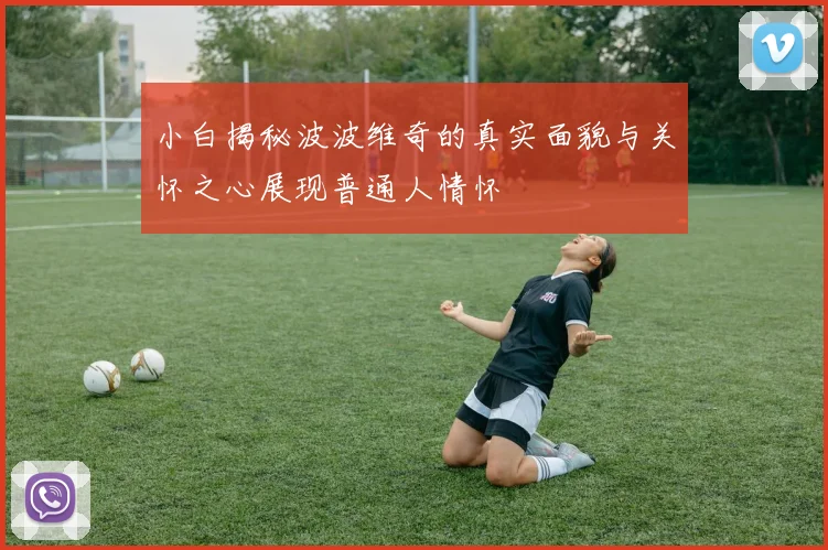 小白揭秘波波维奇的真实面貌与关怀之心展现普通人情怀